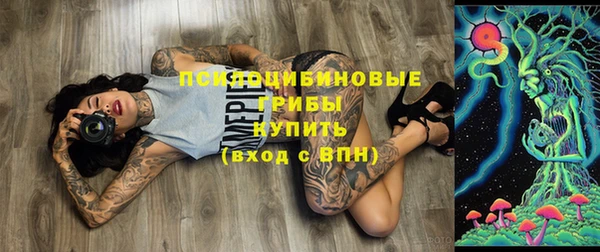 амф Горно-Алтайск