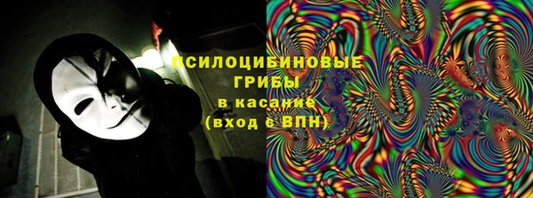 ПСИЛОЦИБИНОВЫЕ ГРИБЫ Горняк