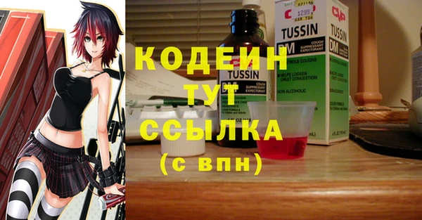 ПСИЛОЦИБИНОВЫЕ ГРИБЫ Горняк