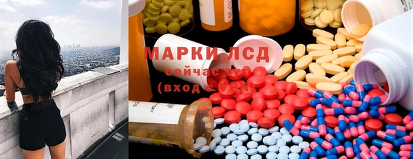 ПСИЛОЦИБИНОВЫЕ ГРИБЫ Горняк