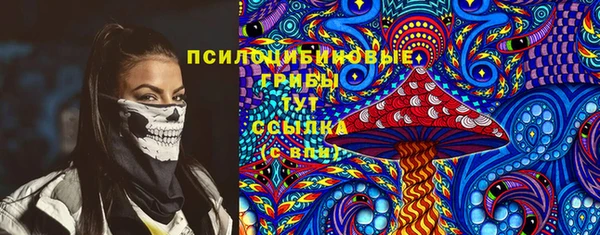 a pvp Горнозаводск