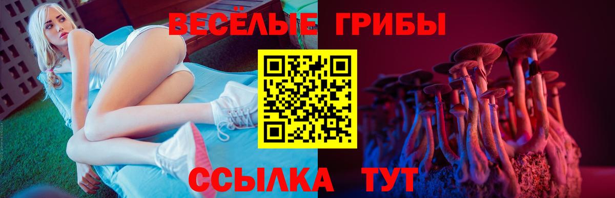 Галлюциногенные грибы Psilocybe  Вход с VPN  Ейск 